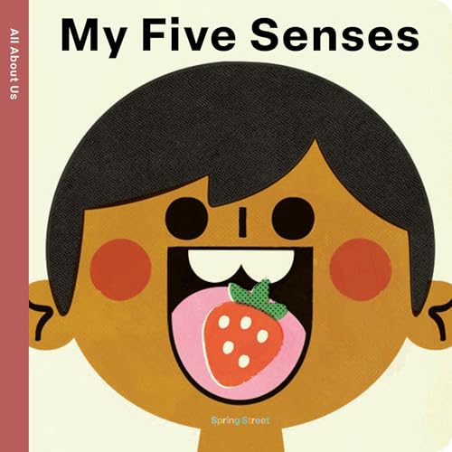 Spring Street All About Us: My Five Senses (Board Book)