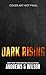 Dark Rising by Brian  Andrews