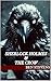 Sherlock Holmes & the Crow
