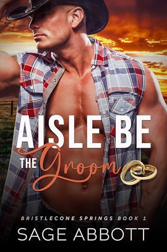 Aisle Be The Groom (Bristlecone Springs #1)