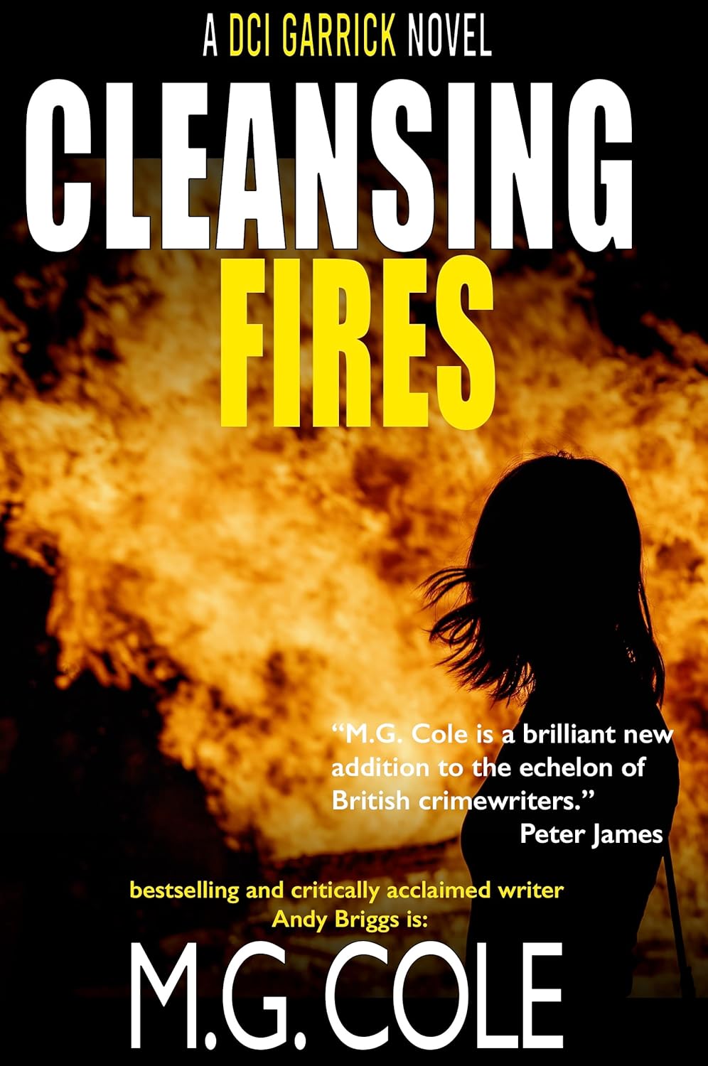 Cleansing Fires (DCI Garrick #5)