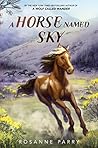 A Horse Named Sky...