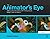 The Animator's Eye: Composi...