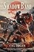 ShadowBane: A Schism of Souls Book 1