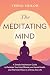 The Meditating Mind by Yishai Shiloh