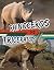 Raintree Rhinoceros vs Tric...