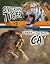 Raintree Siberian Tiger vs ...
