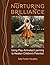 Nurturing Brilliance by Sally Fowler Haughey