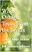 Where Orange Trees, Scent t...
