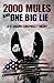2000 Mules and One Big Lie: A Stubborn Conspiracy Theory