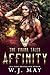 Affinity (The Viking Tales Book 4)