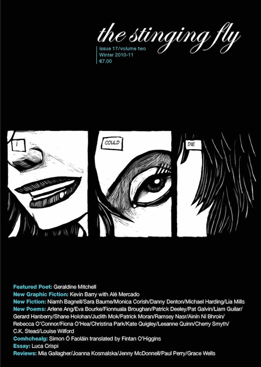 The Stinging Fly Issue 17/Volume 2 Winter 2010-11 (Paperback)