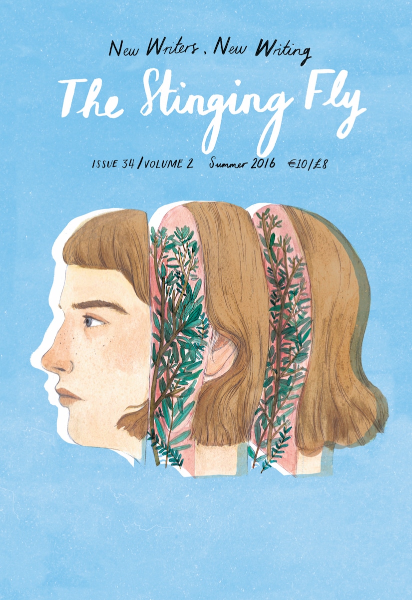Stinging Fly Issue 34/Volume 2 Summer 2016