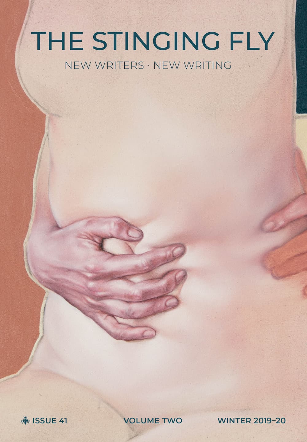 The Stinging Fly Issue 41/Volume Two Winter 2019-20