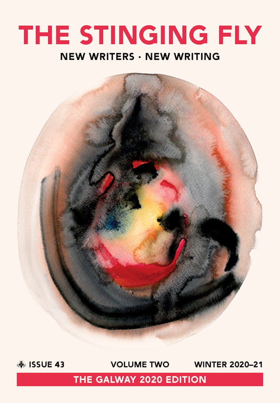 The Stinging Fly Issue 43/Volume Two Winter 2020-21