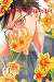 Chihayafuru Vol. 46