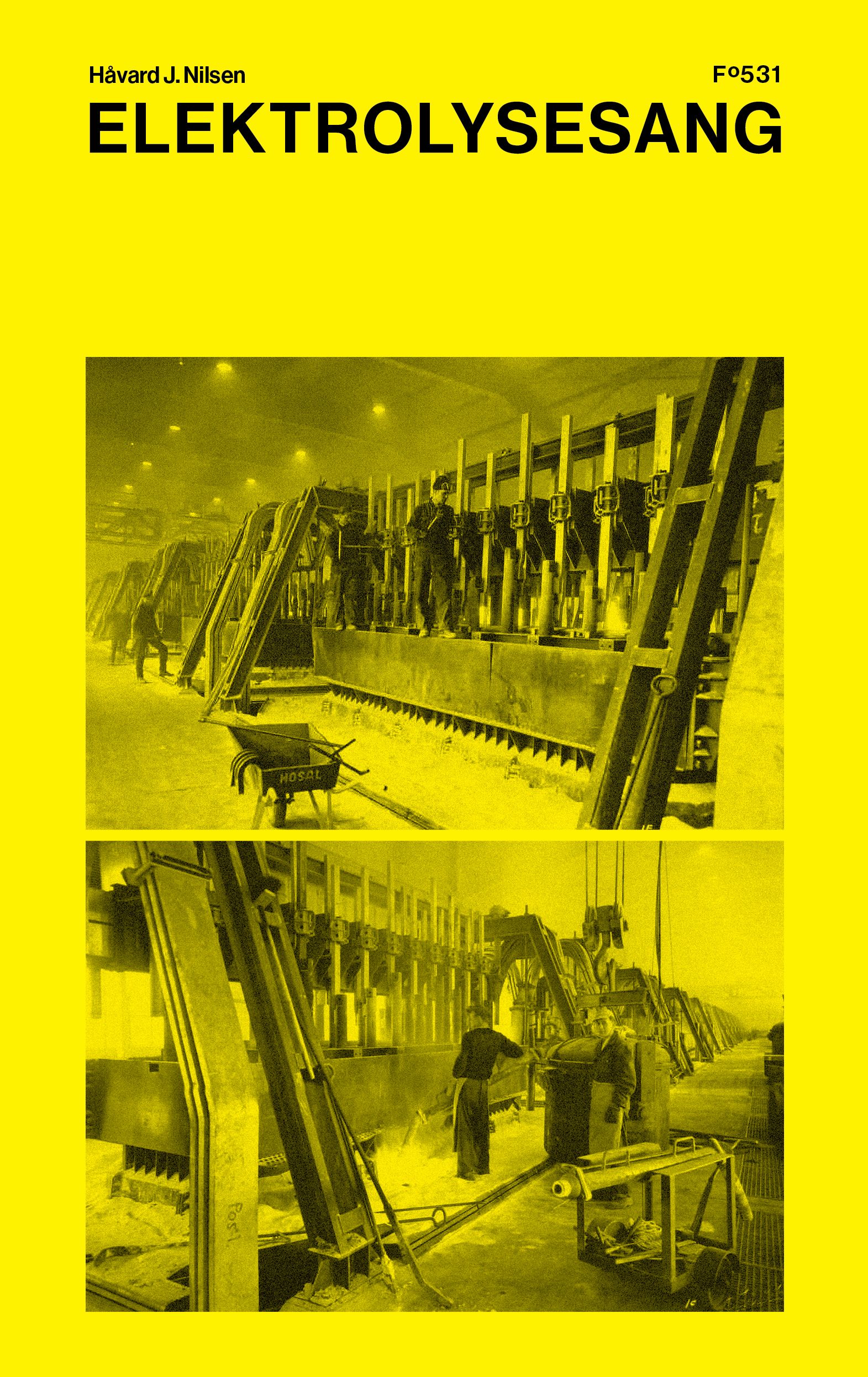 Elektrolysesang (Hardcover)