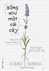 Sống Như Một Cái Cây