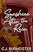 Sunshine After the Rain by C.J. Burmeister