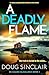 A Deadly Flame (DS Malkie M...