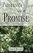 Preserved by a Promise by Lexi T. Walker