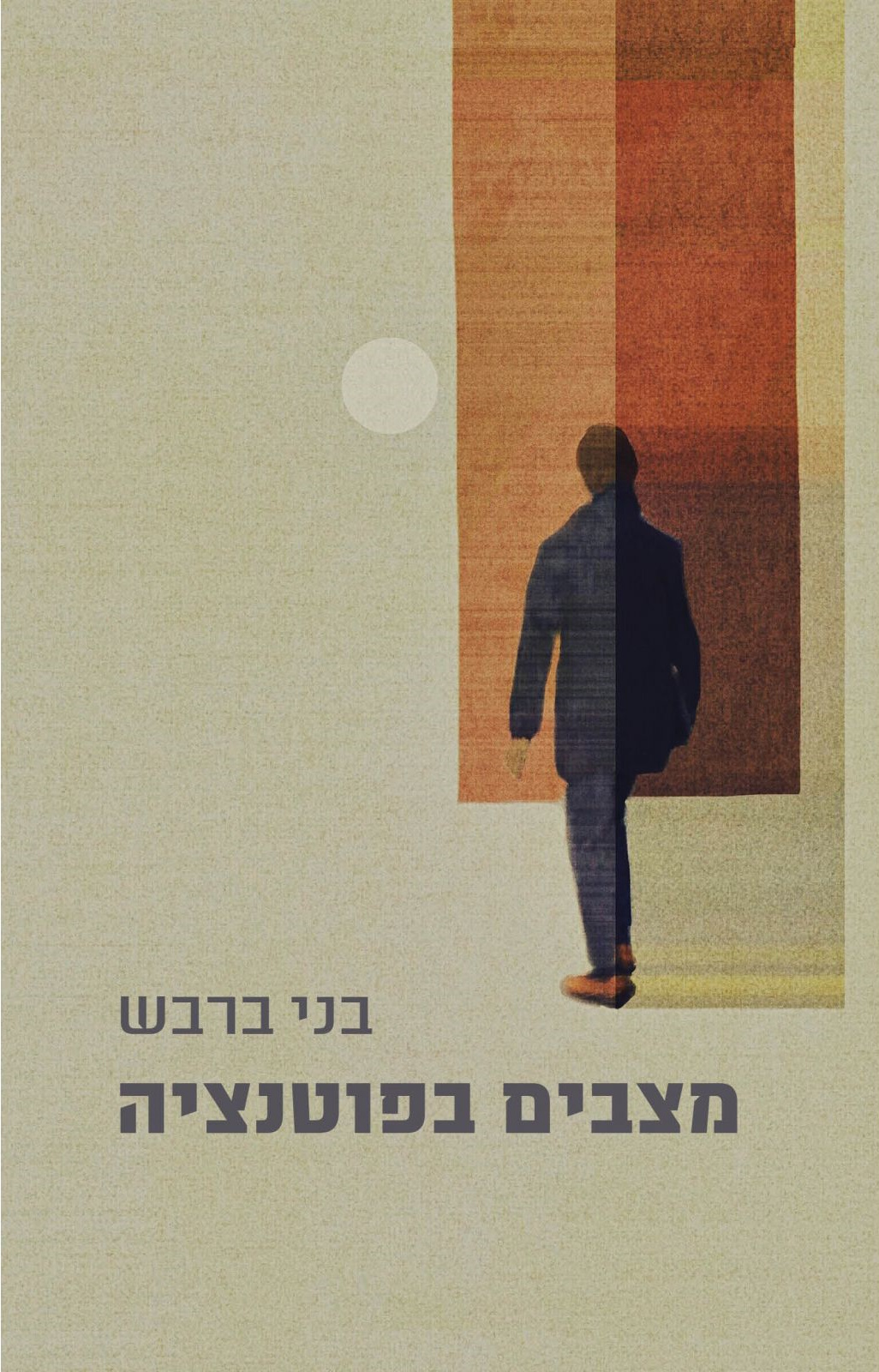 מצבים בפוטנציה (Paperback)
