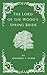 The Lord of the Wood's Spring Bride: M/M Gay Trans Fantasy Novella
