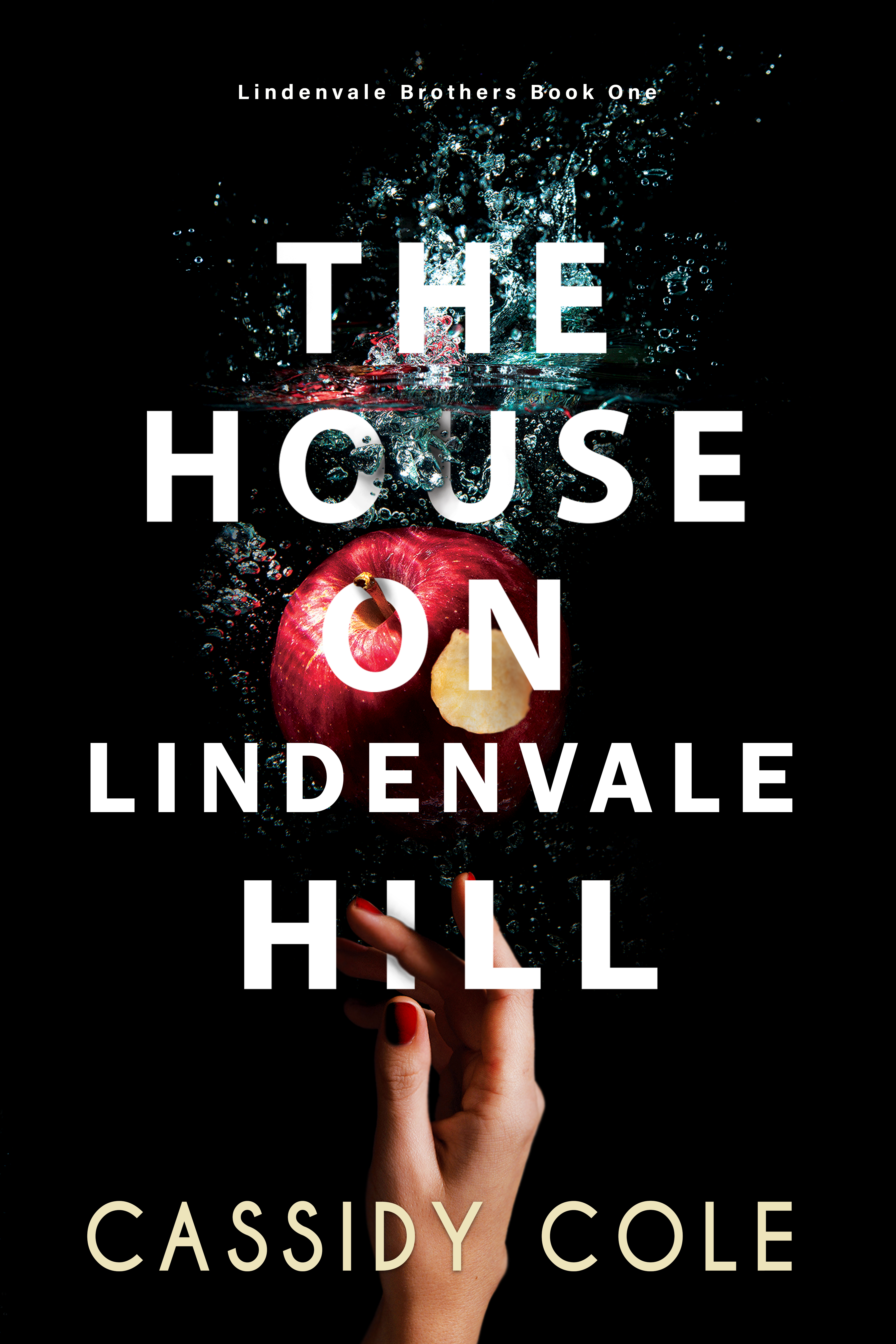 The House on Lindenvale Hill (Lindenvale Brothers #1)