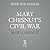 Mary Chesnut's Civil War