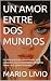 UN AMOR ENTRE DOS MUNDOS: U...