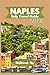 NAPLES ITALY TRAVEL GUIDE 2025 by Middlebrook May