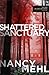Shattered Sanctuary (The Erin Delaney Mysteries Book #1): (A Christian Mystery and Suspense Novel with Action and Clean Romance)