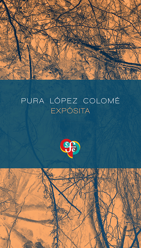 Expósita (Paperback)