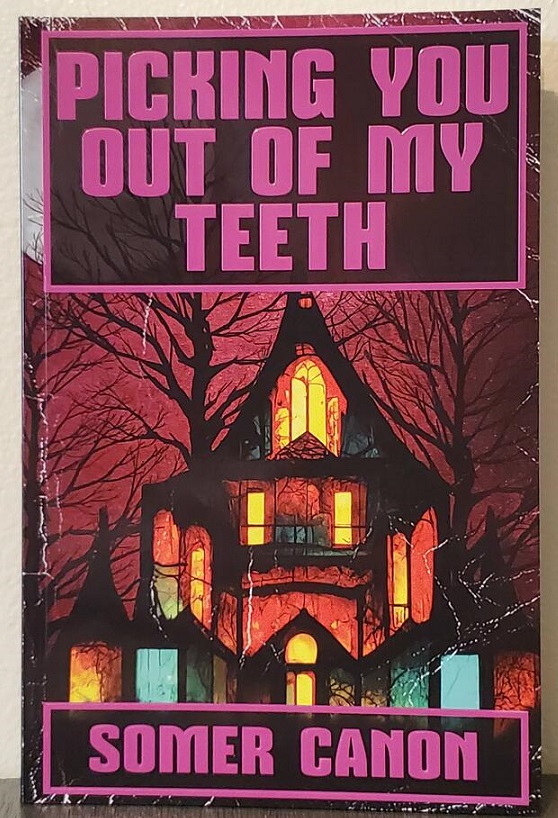 Picking You Out of My Teeth (Paperback)