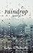 Raindrop World