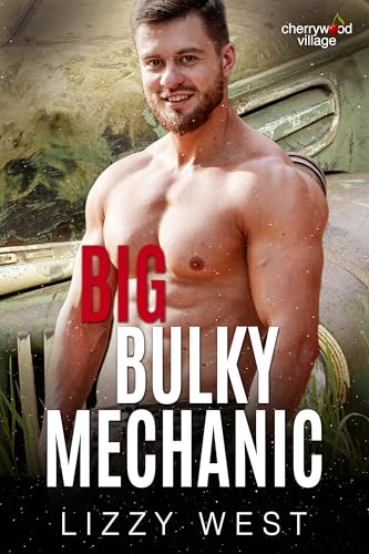 Big Bulky Mechanic (Cherrywood Village, #3)