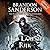 Het laatste rijk by Brandon Sanderson