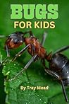 Bugs for Kids
