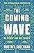 The Coming Wave: AI, Power and Our Future