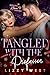 Tangled With The Professor by Lizzy West