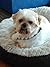The Adventures Of Chokoes: ...