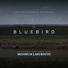 Bluebird (Audiobook)