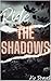 Ride the Shadows : A gray college romance (The Shadows Duet Book 1)