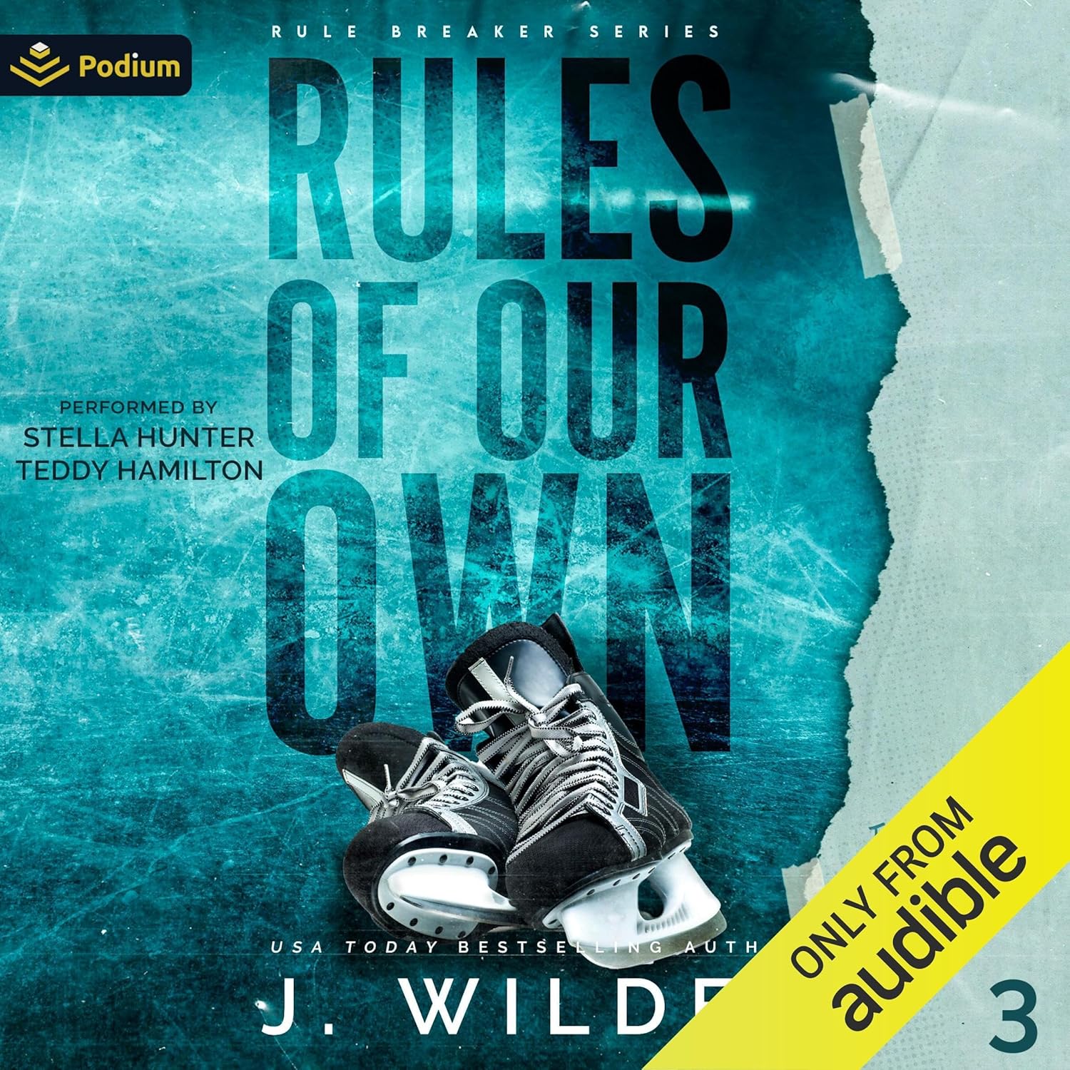 Rules of Our Own (Rule Breaker, #3)