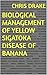 BIOLOGICAL MANAGEMENT OF YELLOW SIGATOKA DISEASE OF BANANA by Chris Drake