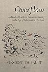 Overflow: A Buddhist Guide to Recovering Sanity in the Age of Information Overload