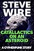 Catallactics on an Asteroid by Steve Wire