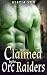 Claimed by the Orc Raiders