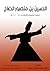 ‫الحسين بن منصور الحلاج: شهيد التصوف الإسلامي (٢٤٤–٣٠٩ﻫ)‬ (Arabic Edition)