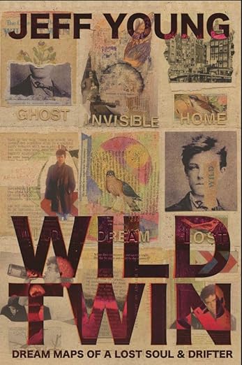 Wild Twin (Hardcover)